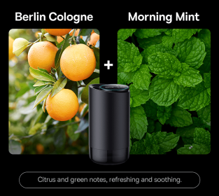 Intelligent Car Aromatherapy Machine Spray Odor Removal Car Perfume (Option: Berlin Cologne Mint-Black-USB)