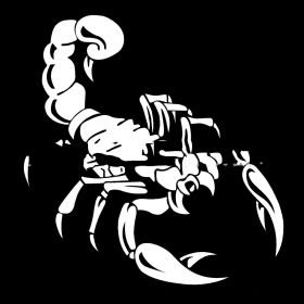 Car Pull Flower Front And Rear Bumper Reflective Scorpion Stickers (Color: White)